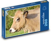 Cow Puzzle 260 pieces - 41 x 28.7 cm 
