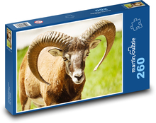 Lúčny muflón Puzzle 260 dielikov - 41 x 28,7 cm 