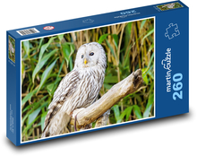 White owl on a branch Puzzle 260 pieces - 41 x 28.7 cm 