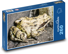 Ropucha Puzzle 260 dílků - 41 x 28,7 cm