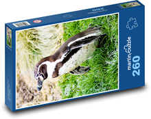Penguin Puzzle 260 pieces - 41 x 28.7 cm 