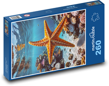 Hviezdice v mori Puzzle 260 dielikov - 41 x 28,7 cm 