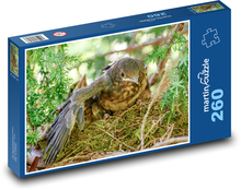 Kosa pisklę Puzzle 260 elementów - 41x28,7 cm