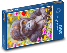 Gorila a kvety Puzzle 260 dielikov - 41 x 28,7 cm 
