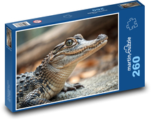 Aligator Puzzle 260 elementów - 41x28,7 cm