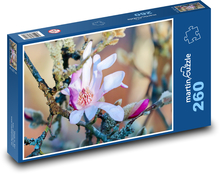 Květ magnólie Puzzle 260 dílků - 41 x 28,7 cm