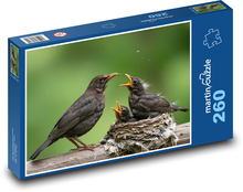 Kos - pisklęta Puzzle 260 elementów - 41x28,7 cm