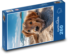 Šteňa na pláži Puzzle 260 dielikov - 41 x 28,7 cm 