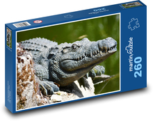 Krokodyl Puzzle 260 elementów - 41x28,7 cm