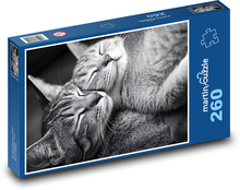 Kočky, černobílé foto Puzzle 260 dílků - 41 x 28,7 cm