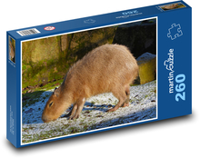 Capybara Puzzle 260 pieces - 41 x 28.7 cm 