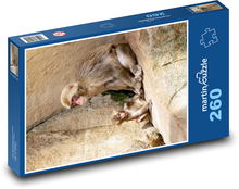 Małpa - matka i dziecko Puzzle 260 elementów - 41x28,7 cm