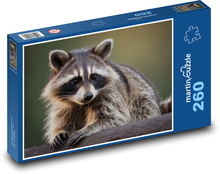 Szop pracz Puzzle 260 elementów - 41x28,7 cm