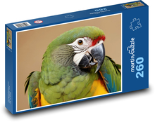 Papagei Puzzle 260 Teile - 41 x28,7 cm
