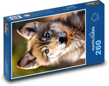 Wolf cub Puzzle 260 pieces - 41 x 28.7 cm 