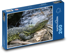 Iguana na kamieniu Puzzle 260 elementów - 41x28,7 cm