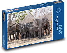 Elefanten Puzzle 260 Teile - 41 x28,7 cm