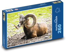 Mouflon Puzzle 260 elementów - 41x28,7 cm