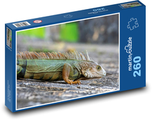 Iguana Puzzle 260 elementów - 41x28,7 cm