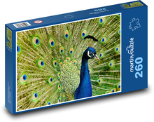 Páv. Puzzle 260 dielikov - 41 x 28,7 cm 