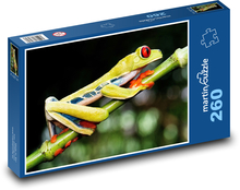 Žába - rosnička Puzzle 260 dílků - 41 x 28,7 cm