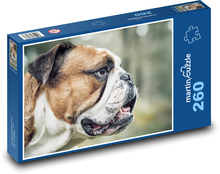 Hund - Bulldogge Puzzle 260 Teile - 41 x28,7 cm