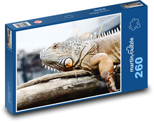 Jaszczurka - Legwan Puzzle 260 elementów - 41x28,7 cm