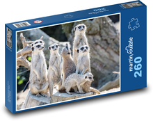 Meerikata Puzzle 260 dielikov - 41 x 28,7 cm 