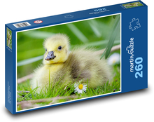 Goose - chick Puzzle 260 pieces - 41 x 28.7 cm