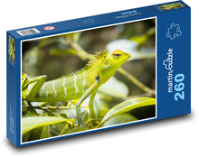 Zelená ještěrka Puzzle 260 dílků - 41 x 28,7 cm