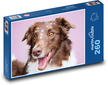 Border Collie Puzzle 260 Teile - 41 x28,7 cm