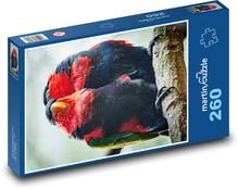Papoušci Puzzle 260 dílků - 41 x 28,7 cm
