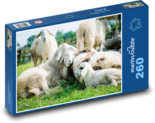 Ovce Puzzle 260 dielikov - 41 x 28,7 cm 