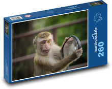 Monkey Puzzle 260 pieces - 41 x 28.7 cm 