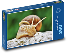 Hlemýžď Puzzle 260 - 41x28,7 cm