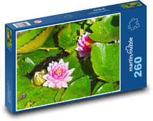 Water lilies Puzzle 260 pieces - 41 x 28.7 cm