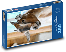 Goat Puzzle 260 pieces - 41 x 28.7 cm 