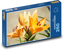 Orange Lily Puzzle 260 pieces - 41 x 28.7 cm 