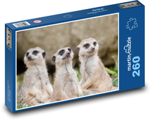 Erdmännchen Puzzle 260 Teile - 41 x28,7 cm