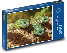Žaby Puzzle 260 dielikov - 41 x 28,7 cm 