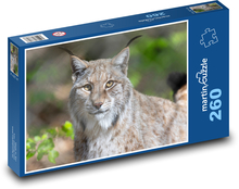 Feature Puzzle 260 pieces - 41 x 28.7 cm 