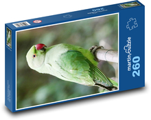 Budgie Puzzle 260 pieces - 41 x 28.7 cm 
