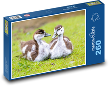 Divoké husy Puzzle 260 dílků - 41 x 28,7 cm