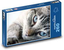 Mačka Puzzle 260 dielikov - 41 x 28,7 cm 