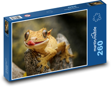 Gecko - lizard Puzzle 260 pieces - 41 x 28.7 cm