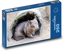 Južný vombat s chlpatým nosom Puzzle 260 dielikov - 41 x 28,7 cm 