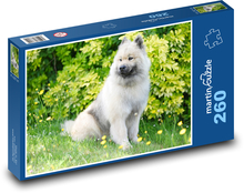 Dog - Eurasier olaf blue Puzzle 260 pieces - 41 x 28.7 cm 