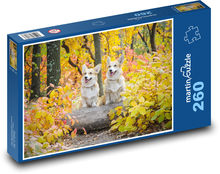 Psi - corgi Puzzle 260 dílků - 41 x 28,7 cm