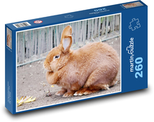 Hauskaninchen Puzzle 260 Teile - 41 x28,7 cm