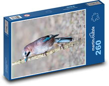 Vogel - Jay Puzzle 260 Teile - 41 x28,7 cm